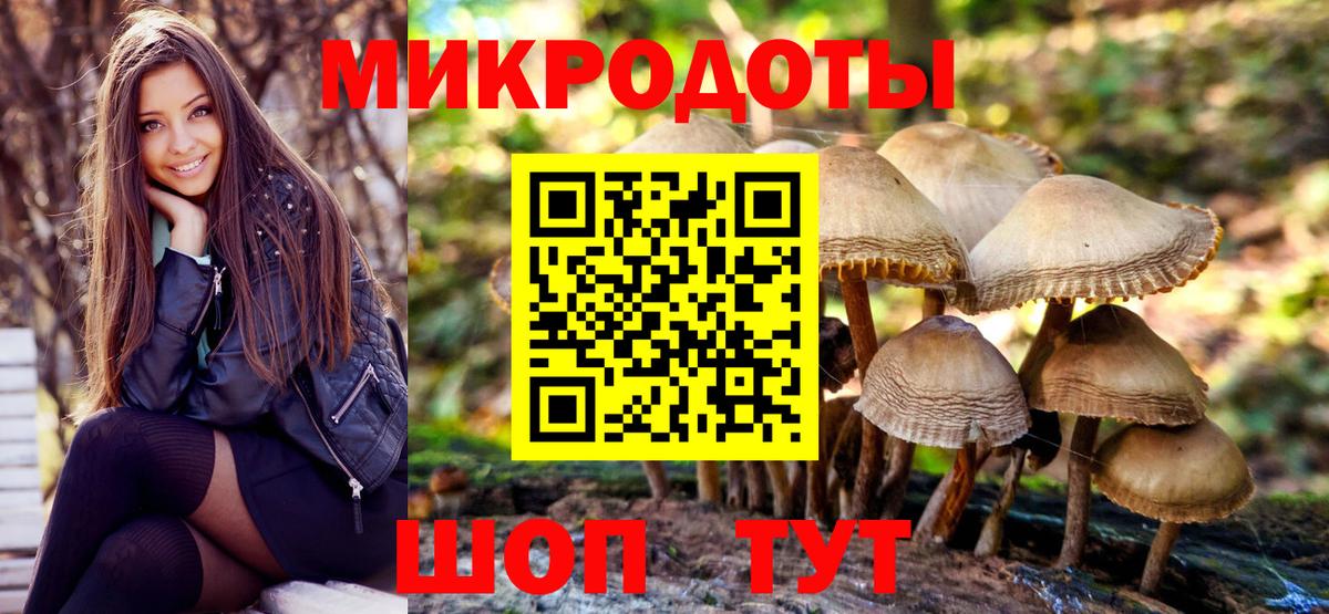 Галлюциногенные грибы Psilocybine cubensis  Вход с VPN  Лесосибирск 